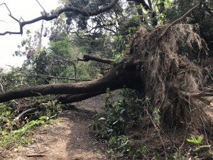 山登り中の惨劇